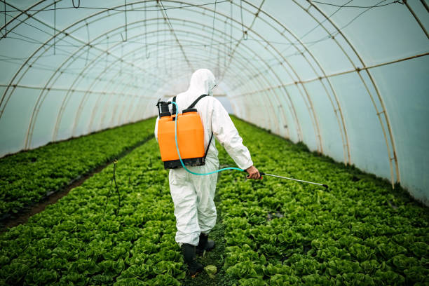 Reliable Feasterville, PA Pest Control Solutions