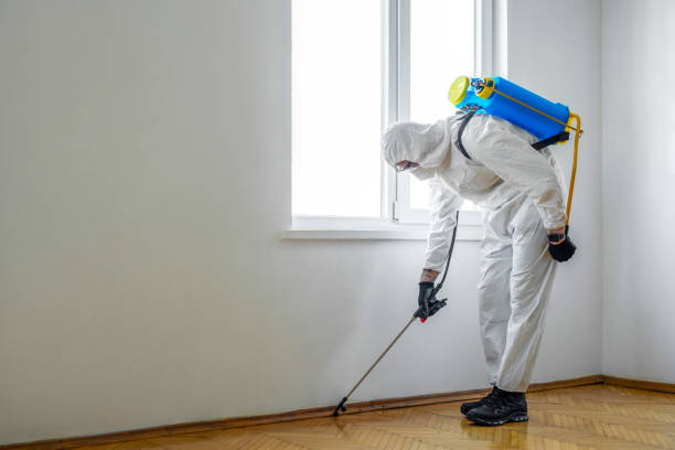 Best Mosquito Control Services  in Feasterville, PA