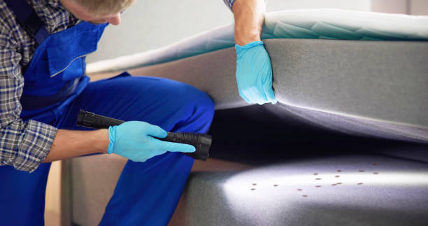 Best Affordable Pest Control Services  in Feasterville, PA